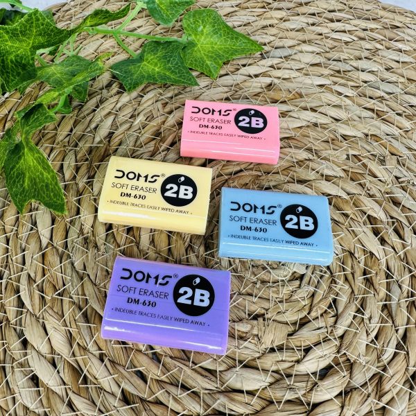 پاک کن دامس رنگی