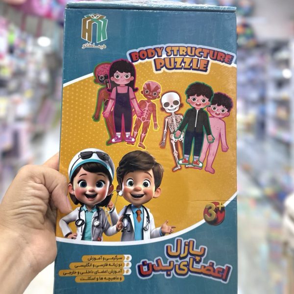 پازل ۵ لایه اعضای بدن